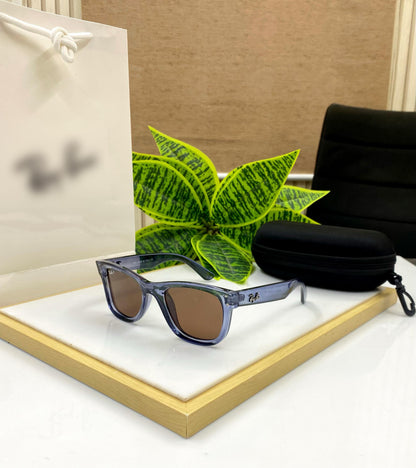 RF-0502 BLUE BROWN[Polarized]